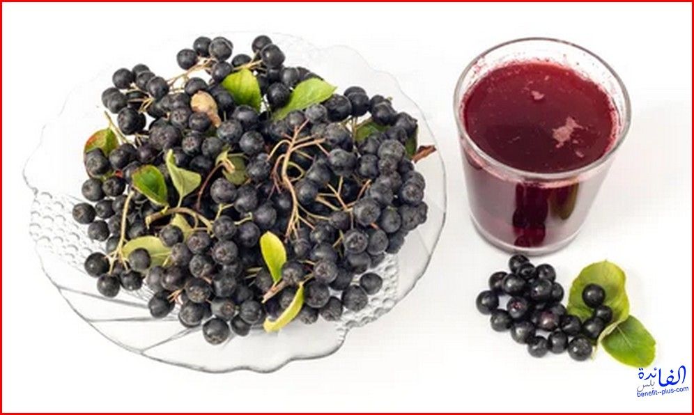  (الأطعمة التي تسبب نقص الصفائح الدموية) فوائد عصير التوت