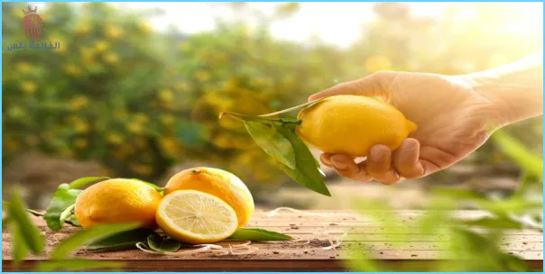 فوائد الليمون بالنعناع
