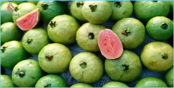 اضرار الجوافة