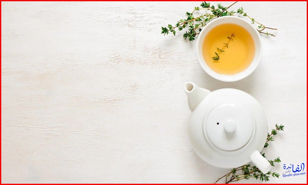 فوائد شاي اخضر فوائد الشاي الاخضر على الريق