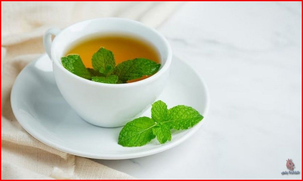  (مشروبات تخفض الضغط) فوائد شاي النعناع