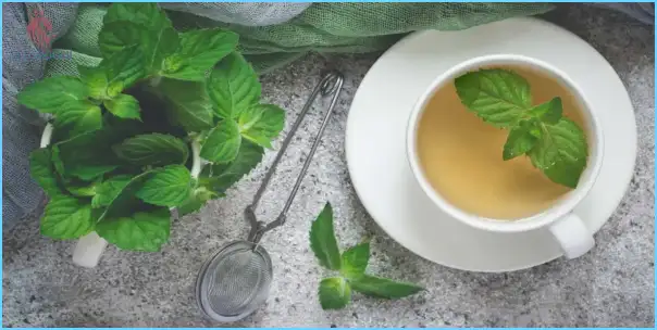 فوائد الشاي الأخضر للبشرة الدهنية